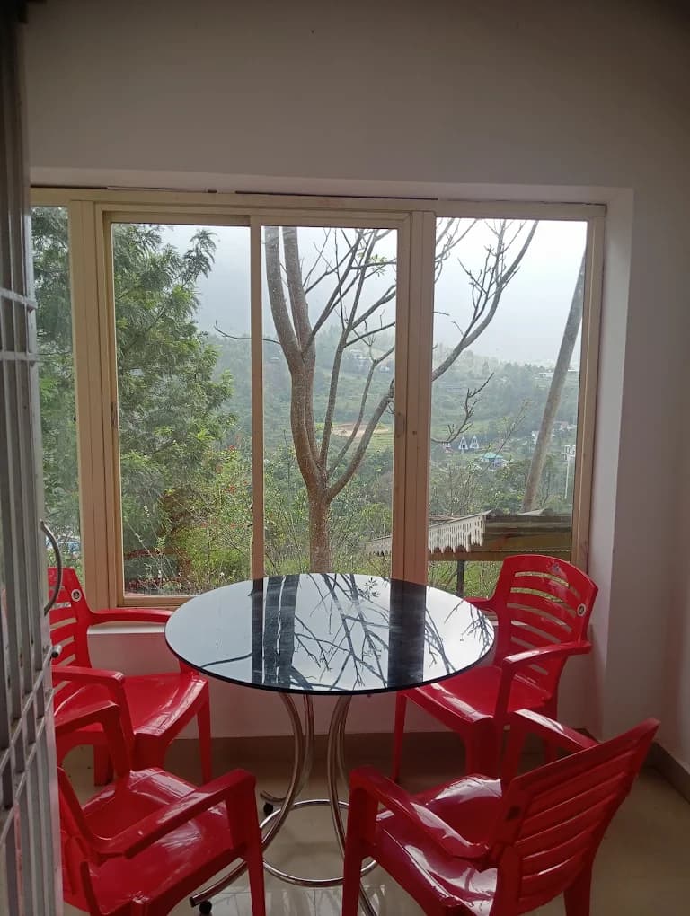 Jacaranda Gallery 11