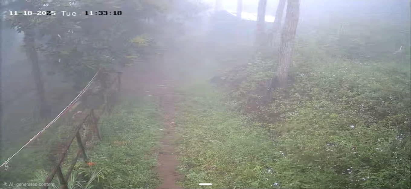 Jacaranda Gallery 19