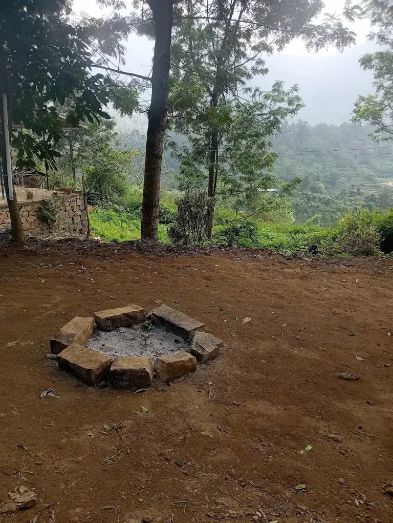 Jacaranda Gallery 20