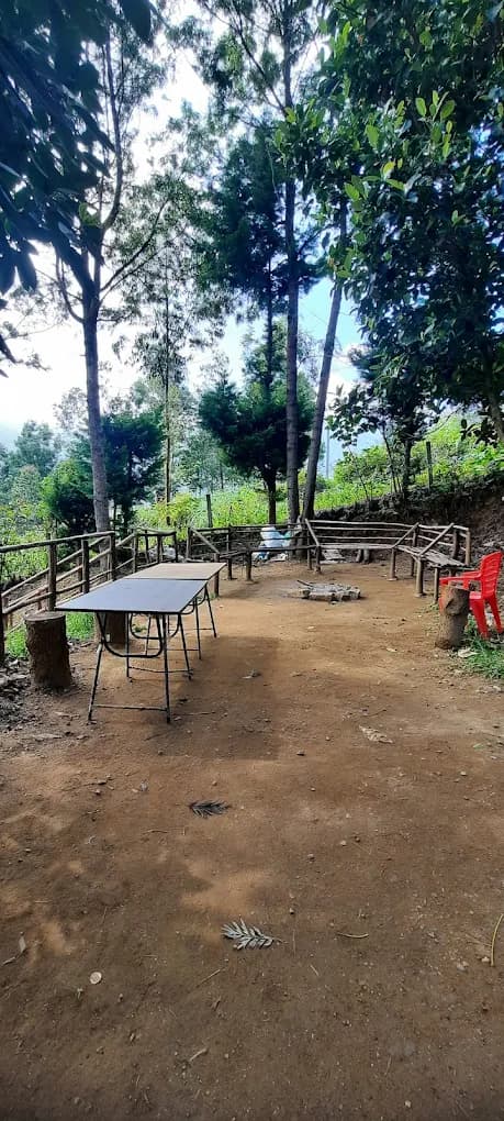 Jacaranda Gallery 21