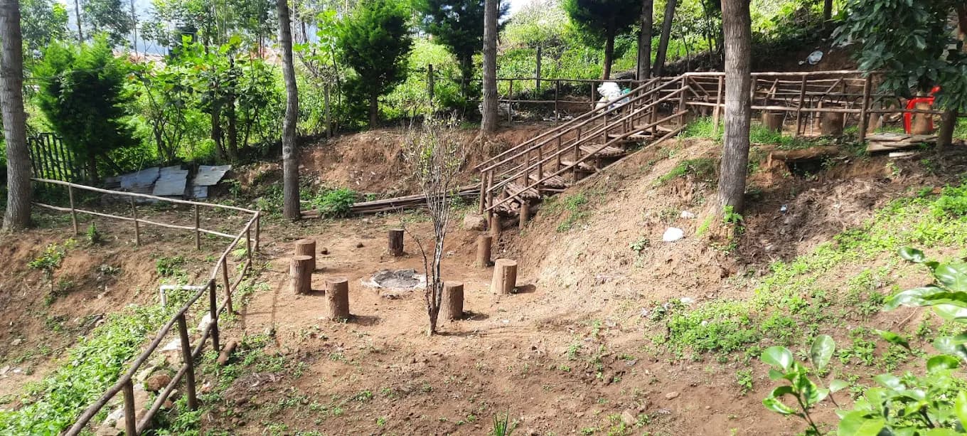 Jacaranda Gallery 22