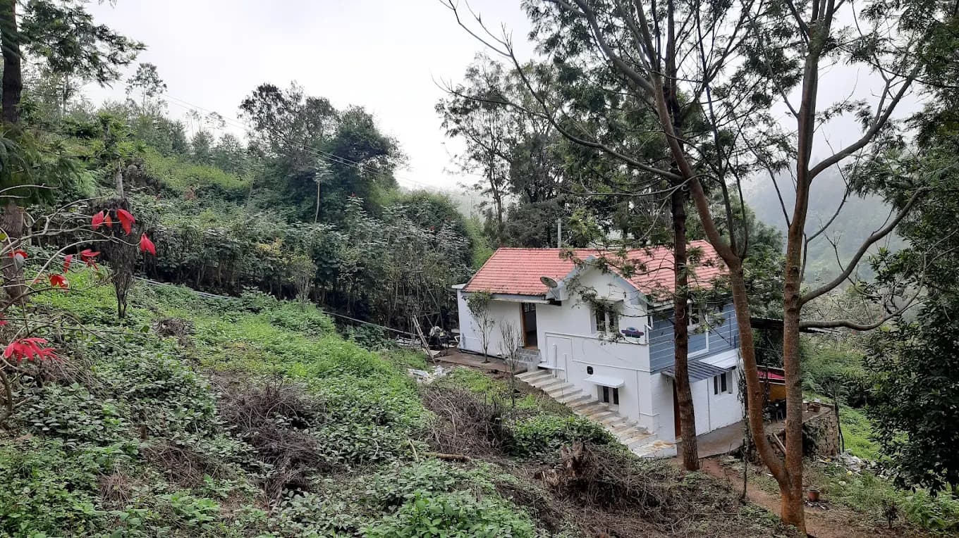 Jacaranda Gallery 29