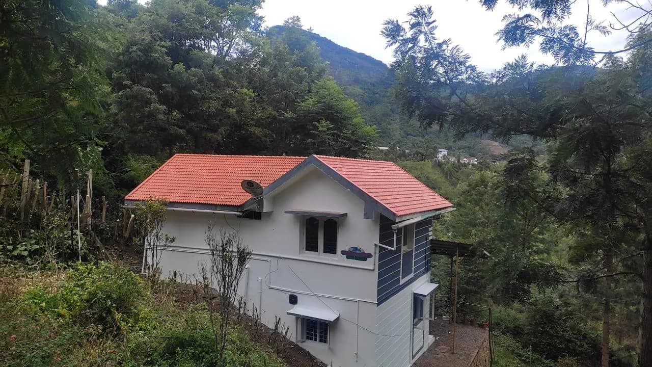 Jacaranda Gallery 32